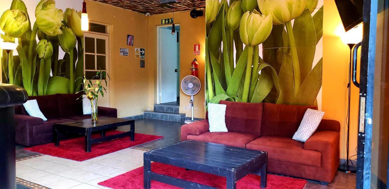 Hotel Ollanta Ика Экстерьер фото